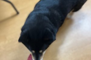 お泊まり中☆