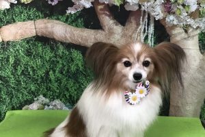 5月のお友達☆