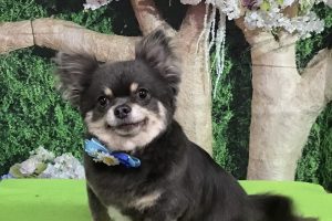 5月のお友達☆
