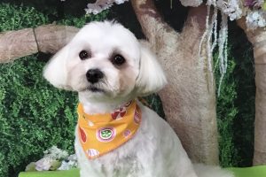 5月のお友達☆