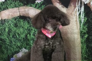 5月のお友達☆