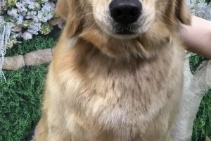 5月のお友達☆