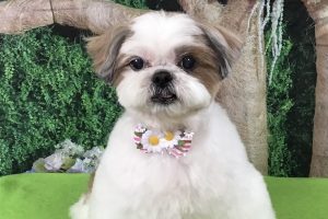 5月のお友達☆