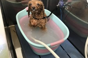 5月のお友達☆