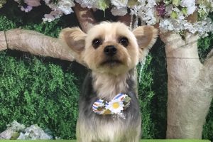 5月のお友達☆