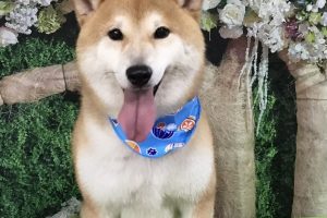 5月のお友達☆