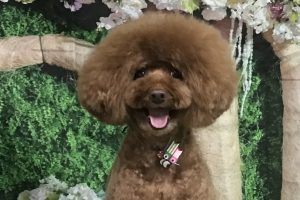 5月のお友達☆