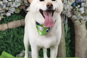 5月のお友達☆