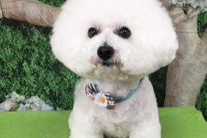 5月のお友達☆