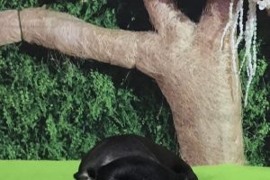 5月のお友達☆