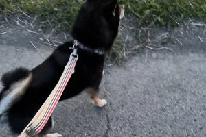 お泊り☆