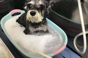 5月のお友達☆