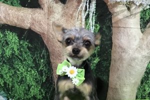 5月のお友達☆