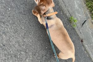 5月のお友達☆