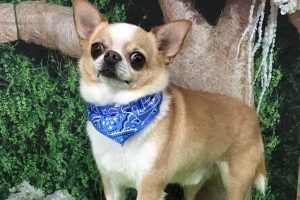 5月のお友達☆