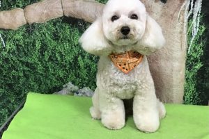 5月のお友達☆