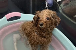 5月のお友達☆