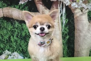 5月のお友達☆