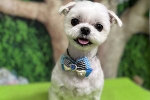 5月のお友達☆