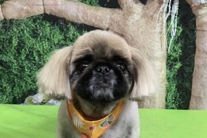 5月のお友達☆