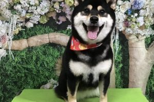5月のお友達☆