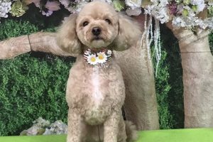 5月のお友達☆