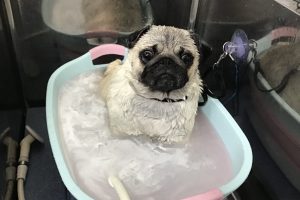5月のお友達☆
