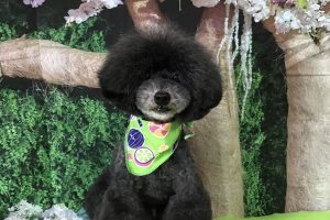 5月のお友達☆