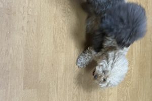 お泊り☆