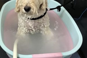 5月のお友達☆