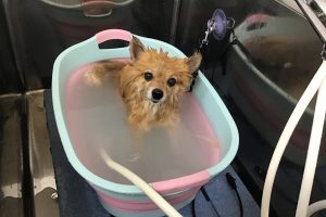 5月のお友達☆