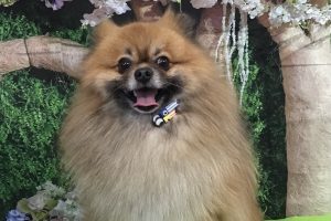 5月のお友達☆