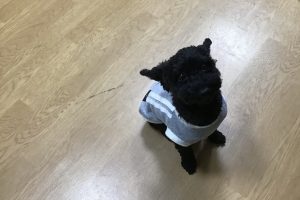 お泊り☆