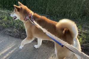 お泊まり中☆