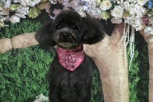 5月のお友達☆