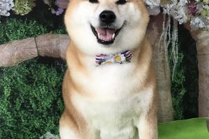 5月のお友達☆