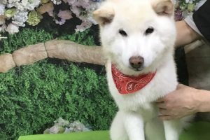 5月のお友達☆
