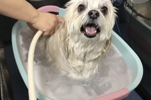 5月のお友達☆