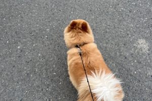 お泊まり☆