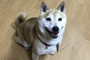 お泊まり☆
