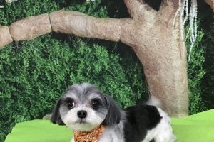 5月のお友達☆