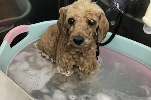 5月のお友達☆