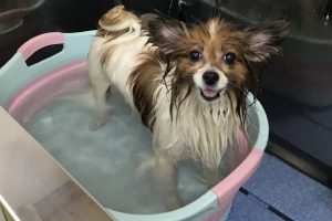 5月のお友達☆