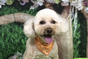 5月のお友達☆