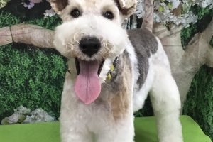 5月のお友達☆