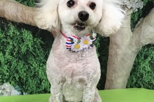 5月のお友達☆