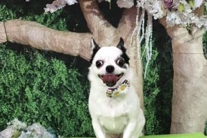 5月のお友達☆
