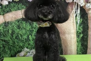 5月のお友達☆
