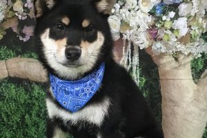 5月のお友達☆