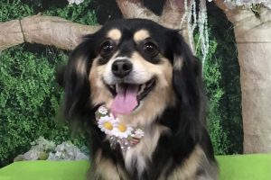 5月のお友達☆